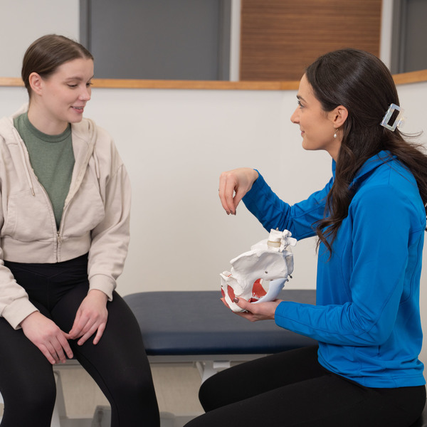 Pelvic Floor