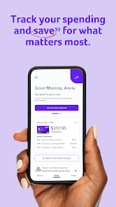activatewisley.com card