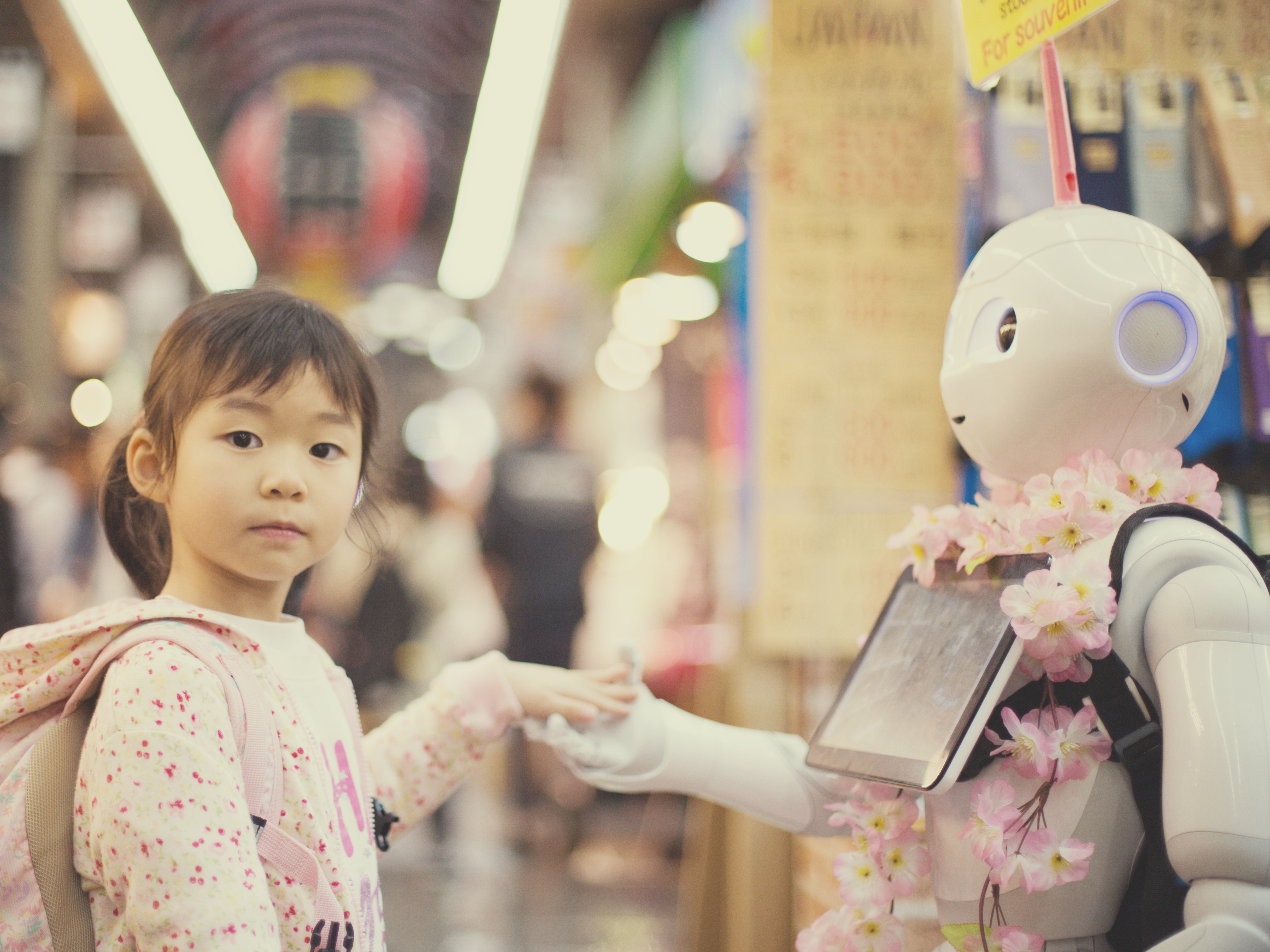Meet A Robot