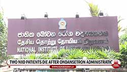 Health Minister vows action if faults are found in 'Ondansetron' procurement (English)