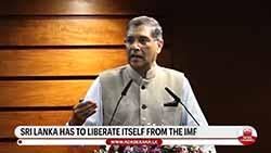 Sri Lankan society should not forget crisis - Former chief economic advisor to Indian govt (English)