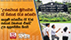 'උත්සවයක් මුවාවෙන් රෑ තිස්සේ රැග් කරනවා - කැලණි සරසවිය රෑ 10න් පස්සේ වහන්නේ ඒකයි' උප කුලපතිනිය කියයි