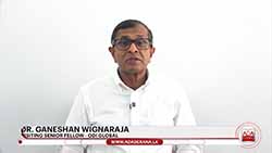Dr. Ganeshan Wignaraja comments on possible impact of Middle East conflict on Sri Lanka (English)