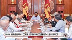 Committee on Economic Surveillance discusses urgent measures to stabilise domestic market (English)