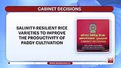 Govt. to implement sugarcane project in collaboration with Brazil to reduce sugar imports (English)