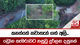 කනත්තේ නවාතැන් ගත් අලි... | ඩ්‍රෝන කැමරාවට හසුවූ දුර්ලභ දසුනක් | Ada Derana