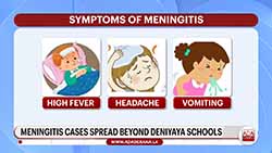 Around 200 cases of meningitis reported so far from several areas; Health Ministry issues guidelines (English)