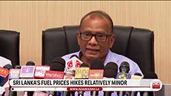 'Fuel price hike relatively minor' Consumption must be reduced to prevent further hikes � Minister (English)