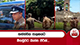තත්ත්වය පාලනයට මීගමුවට බැස්ස එරික්
