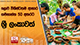 ලොව විශිෂ්ටතම ආහාර ගමනාන්ත 50 අතරට ශ්‍රී ලංකාවත් | Ada Derana