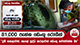 81,000 පැන්න ඩෙංගු රෝගීන් - අදත් රට පුරා මදුරු මර්දන වැඩසටහන් | Ada Derana