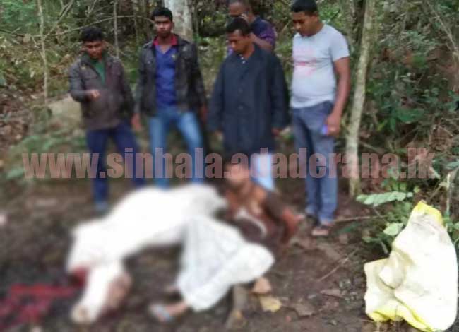 වෙසක් පෝදා කළ අහස පොළව නුහුලන අපරාදය මෙන්න