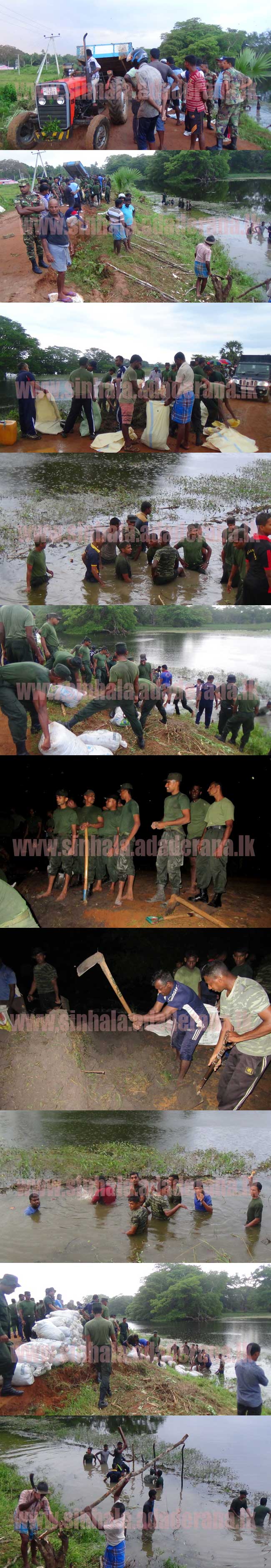 යුද හමුදා නිළධාරීන් හා ගොවි ජනතාව  එකතුවෙලා කරපු දේ මෙන්න