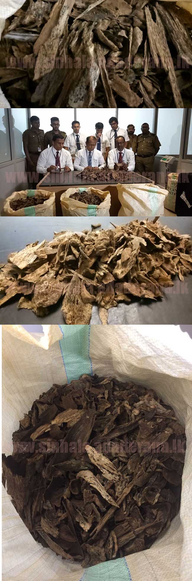 වල්ලපට්ටා රට ගෙනියන්න හදපු තුනකට වැඩ වරදියි