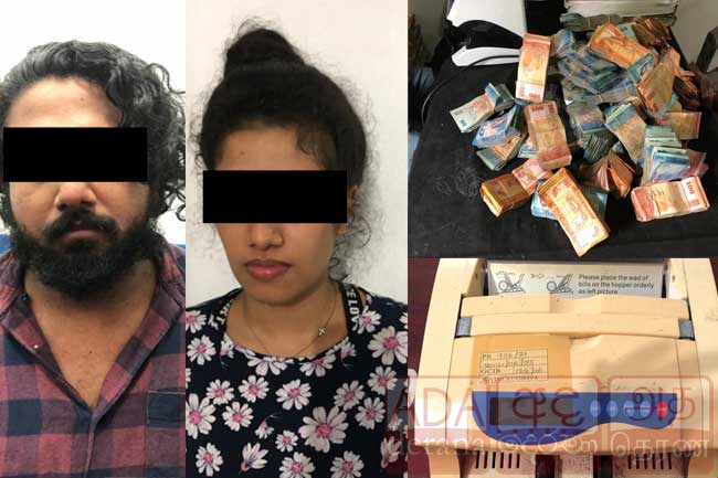 මත්ද්‍රව්‍ය සමග යුවලක් අත්අඩංගුවට