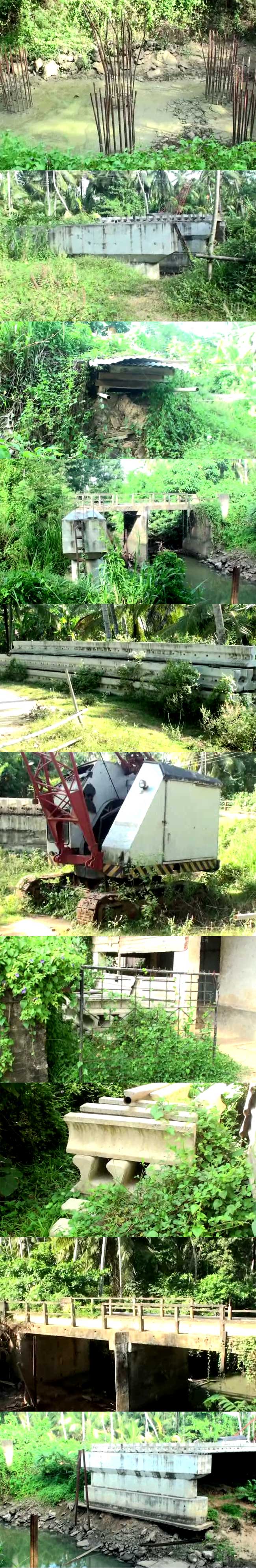 නාස්තිය...
