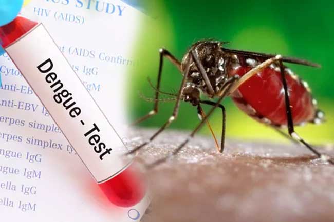 විශේෂ ඩෙංගු මර්දන වැඩසටහනක්