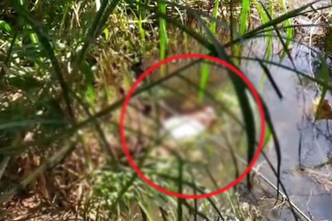 අවාසනාවන්ත ඉරණමකට මුහුණදුන් තිදරු පියා