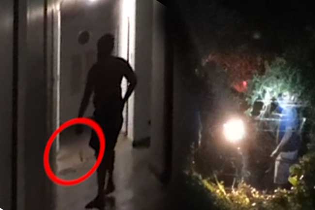 රුහුණු ගැටුම ගැන වීඩියෝවක් එළියට