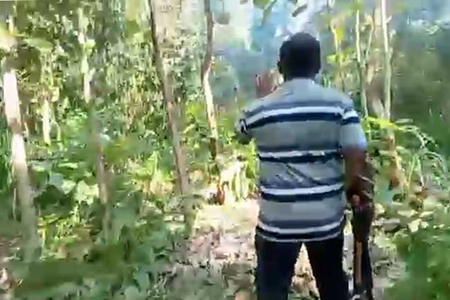 වනඅලි ප්‍රහාරයකින් වනජීවි නිලධාරියෙක් මරුට