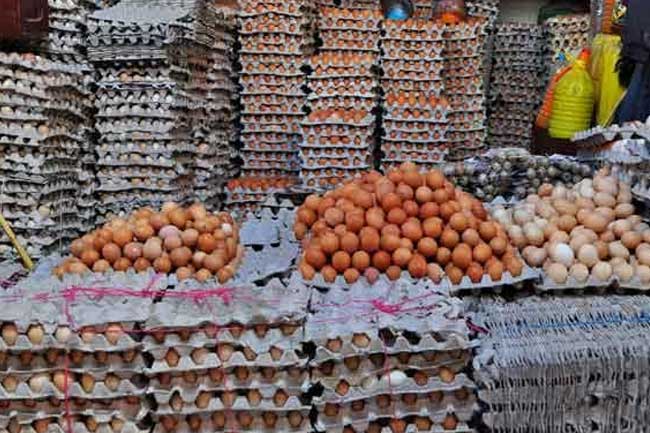 ඉන්දීය බිත්තර අද සිට නිකුත් කෙරේ