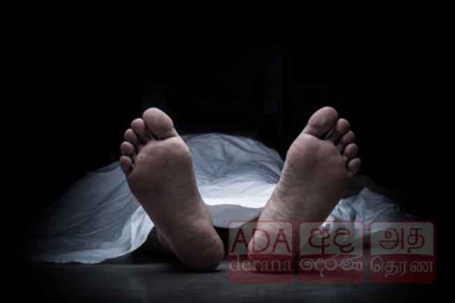 මළ සිරුරු ගැන ගත් තීරණය