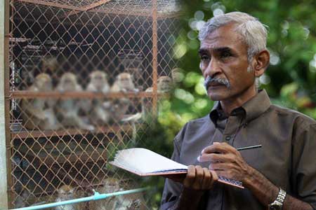 චීනයේ ඉල්ලීම ගැන පරිසරවේදීන් අවධානයෙන්