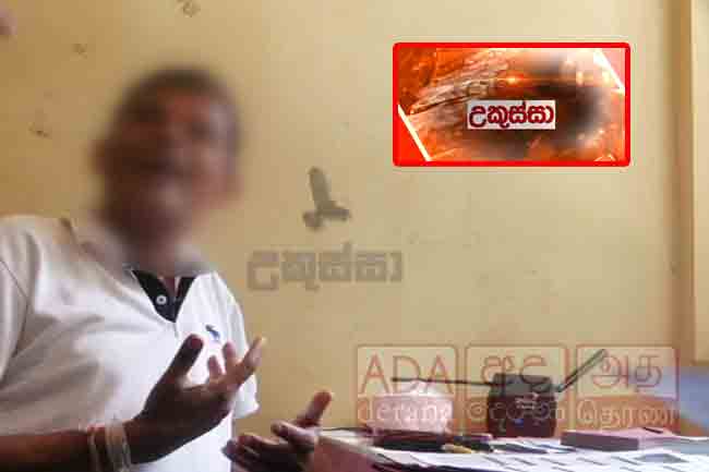 උකුස්සා කොටුකරගත් කොරියා රැකියා ජාවාරම