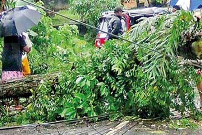 ගමන් කරමින් තිබූ බස් රථයක් මතට අත්තක් කඩා වැටේ