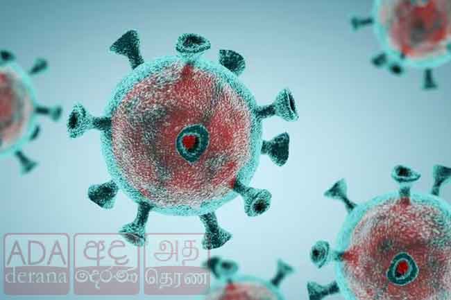 ‘JN වන්’ ගැන WHO වෙතින් දැනුම්දීමක්