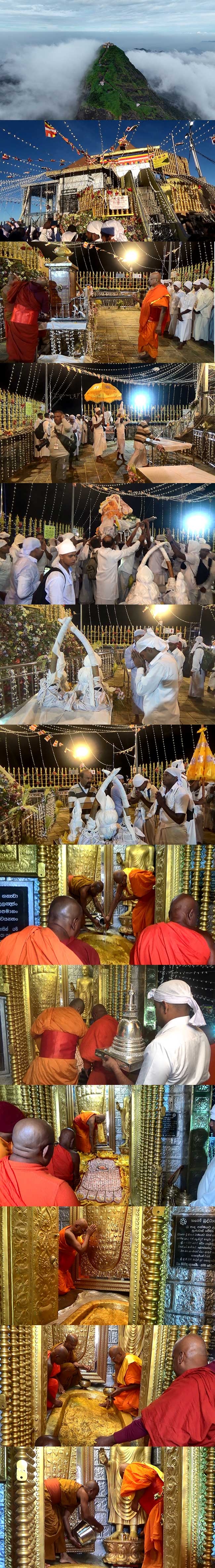 සිරිපා කරුණාව...