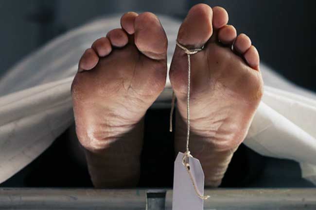 පේරාදෙණියේ ජ්‍යේෂ්ඨ කථිකාචාර්යවරයෙකු මරුට