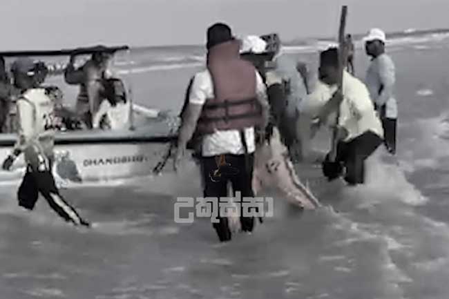සංචාරකයින් කොල්ලකන පරෙවි දූපතේ පාතාලය