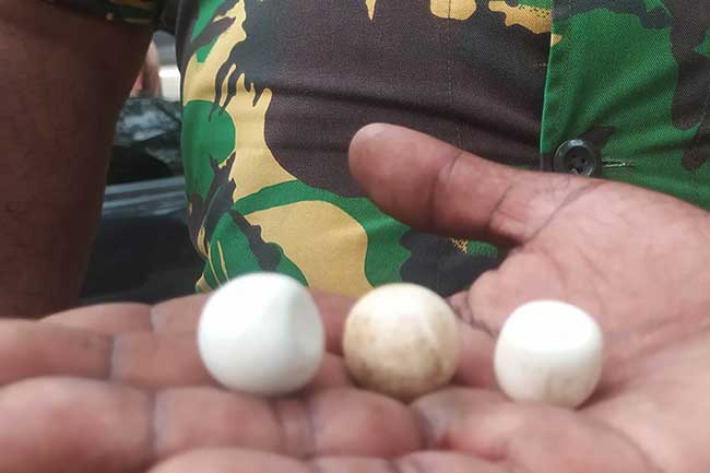ගජමුතු අලෙවි කිරීමට ගිය සිව් දෙනෙක් අත්අඩංගුවට