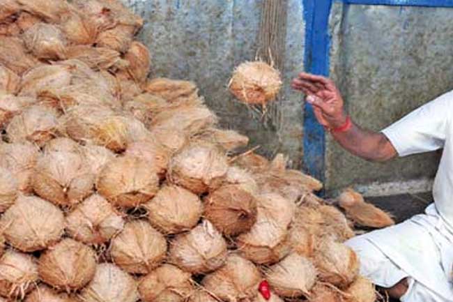 අඩු මිලට පොල් ලබාදීමේ වැඩසටහනක් අරඹයි