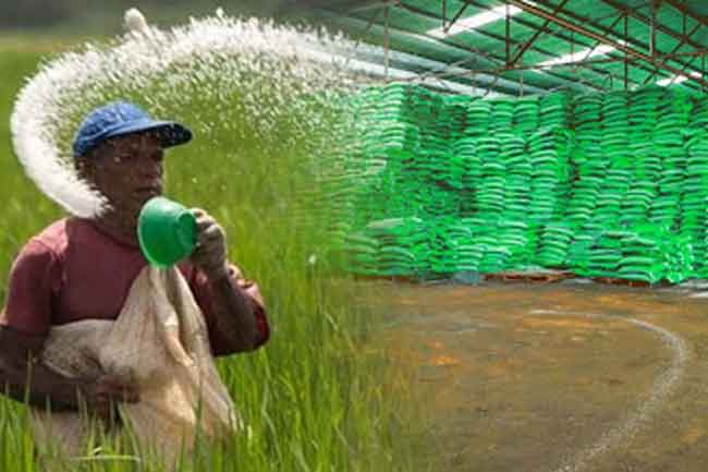 යල කන්නයට ප්‍රමාණවත් පොහොර පවතින බව අමාත්‍යංශයෙන් තහවුරුවක්