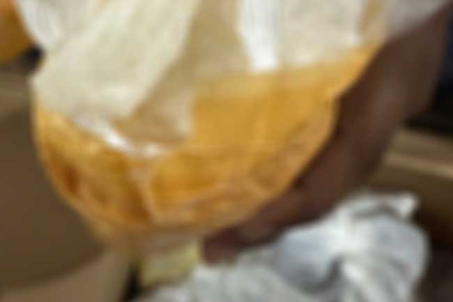 පිටරටින් ආ පාර්සලයක් තුළ රුපියල් මිලියන 68කට ආසන්න මත්ද්‍රව්‍ය තොගයක්