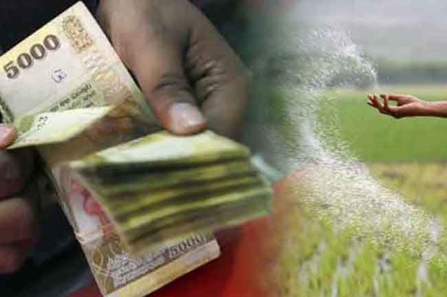 මහ කන්නය සඳහා පොහොර සහනාධාර වැඩසටහන ඇරඹෙයි මහ කන්නය සඳහා පොහොර සහනාධාර වැඩසටහන ඇරඹෙයි