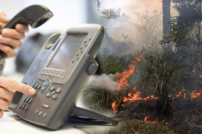 වනාන්තර පද්ධතිවලට සිදුවන හානි ගැන තොරතුරු දෙන්න නව දුරකථන අංකයක්