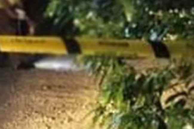 හොරණ වෙඩිතැබීමක් – එක් අයෙක් මරුට