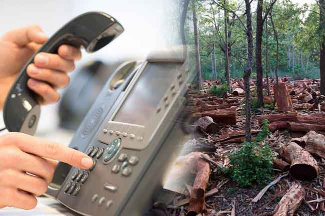 වන සුරැකුම ඒකාබද්ධ මෙහෙයුම් ඒකකය අද සිට