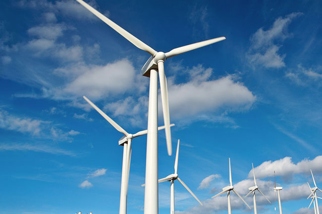 මන්නාරම් දූපතේ නව සුළං විදුලි ව්‍යාපෘති අත්හිටුවීමට අනුමැතිය