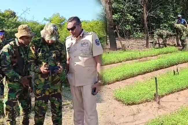 ඩ්‍රෝන මෙහෙයුමකින් ගංජා හේන් වටලයි