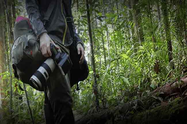 පාරිසරික ජනමාධ්‍යවේදීන් වෙනුවෙන් ක්ෂණික දුරකථන අංකයක්