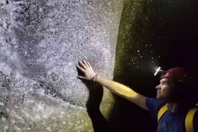 ලොව විශාලතම මකුළු දැල හමුවෙයි   