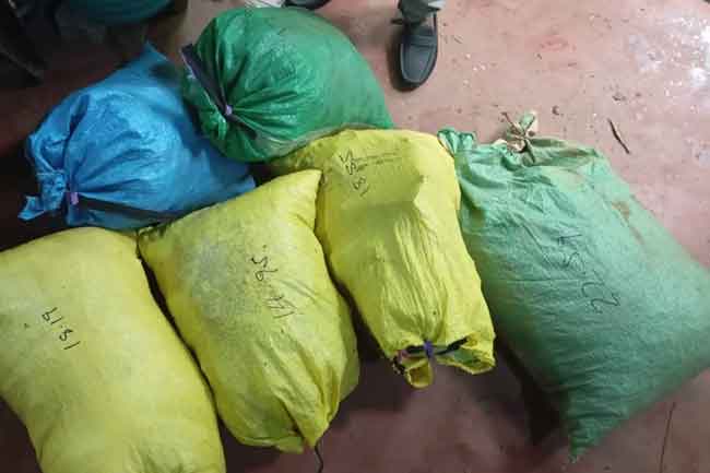 මිලියන 662කට අධික වල්ලපට්ටා තොගයක් සමග සැකකරුවන් තිදෙනෙකු අත්අඩංගුවට