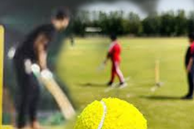 ක්‍රිකට් තරගයක් අතරතුර සිදු වූ අනතුරකින් පුද්ගලයෙකු මරුට