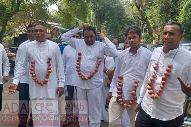 ලොකු ලූනු වෙනුවෙන් දඹුල්ල ප්‍රාදේශීය සභාව උණුසුම් වෙයි