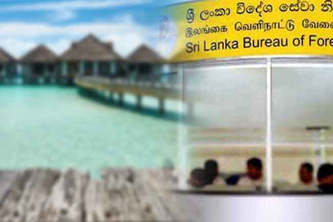 මාලදිවයිනේ රැකියා අවස්ථා ගැන ව්‍යාජ දැන්වීමක්