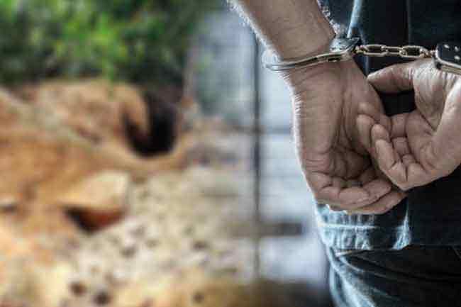 පුරාවස්තු සොයා කැණීම් කළ පුද්ගලයෙක් අත්අඩංගුවට